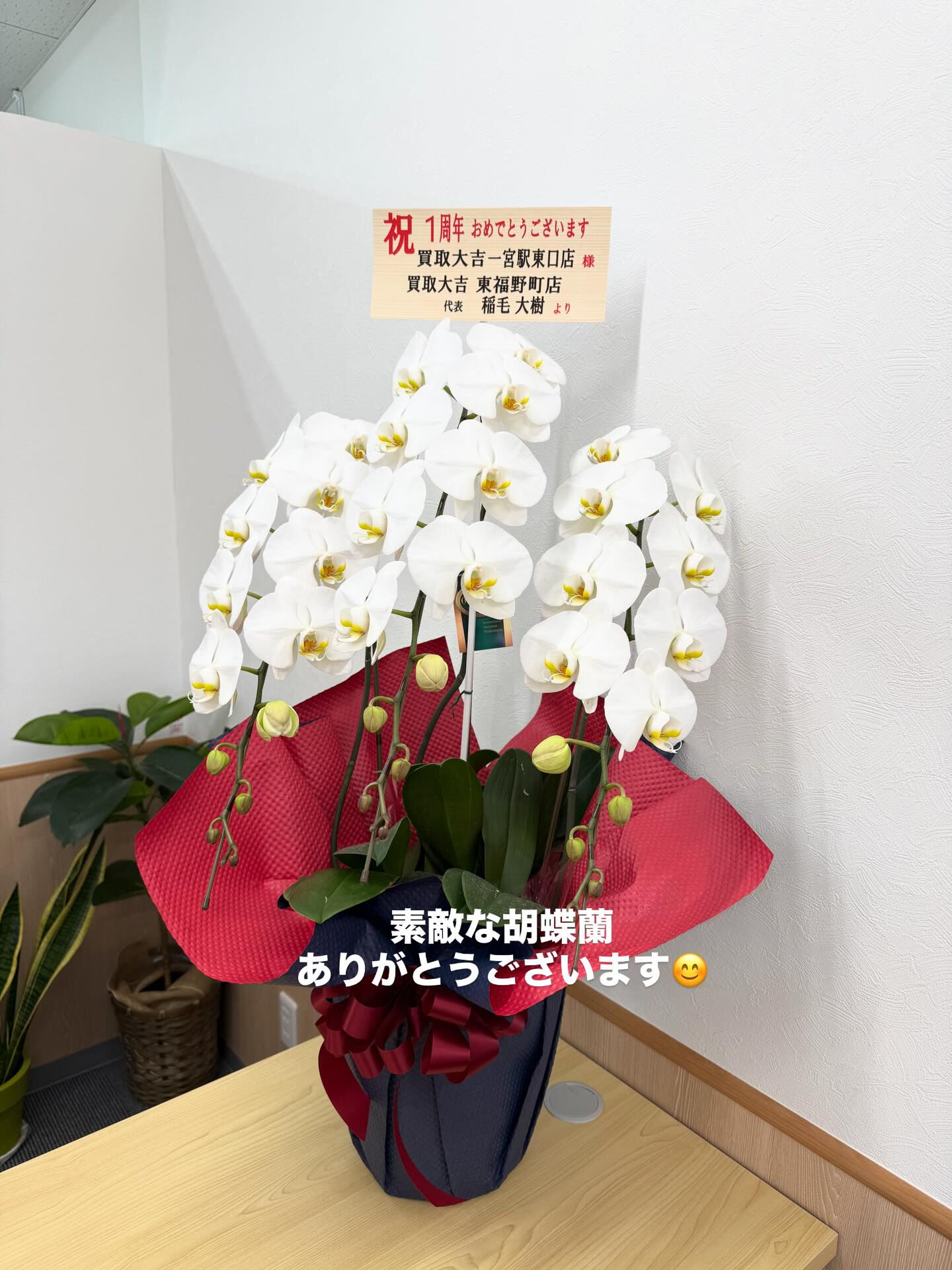 1周年記念買取UPキャンペーン中✨
